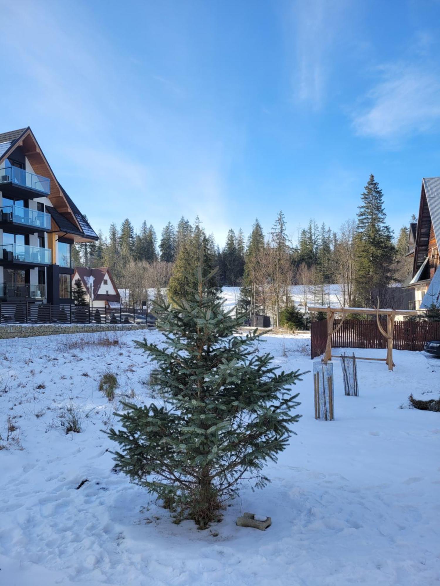 Zakopiańskie Zacisze Zakopane Zewnętrze zdjęcie